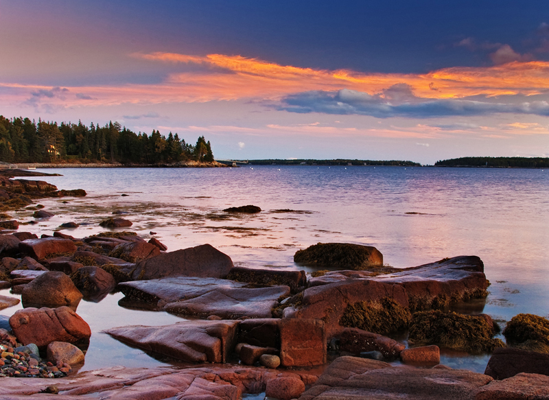 Rocky shoreline at sunset with vibrant orange and pink clouds reflecting on calm waters. Pine trees line the horizon, adding contrast to the serene landscape.