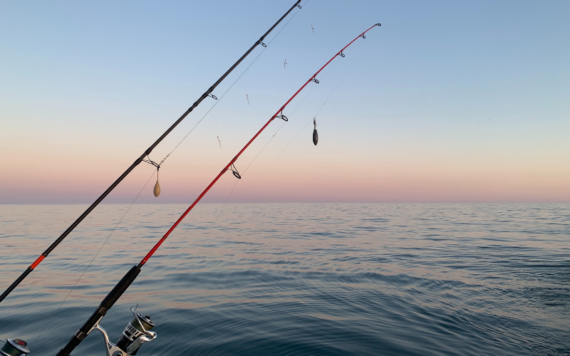 Two fishing rods extend over calm ocean waters under a soft pink and blue sunset sky, creating a peaceful and serene atmosphere.