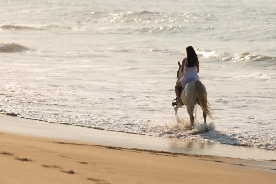 A woman in a white dress rides a white horse along the shoreline of a beach, with gentle waves lapping at the sand and sunlight reflecting on the water.