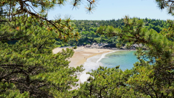 An aerial view of Sand Beach in Acadia National Park in Bar Harbor.