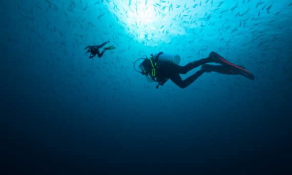 Two scuba divers swim underwater surrounded by a large school of fish. The light filters through the water overhead, creating a serene, blue-tinted ambiance. The scene captures the tranquility and beauty of ocean exploration.