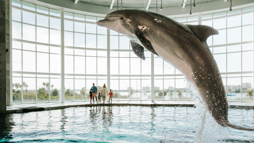 A dolphin leaps out of an indoor pool against large windows, creating a splash. A group of four people (two adults and two children) stand in the background, watching the dolphin inside a bright, spacious room. Nearby is a scenic view of trees and water.