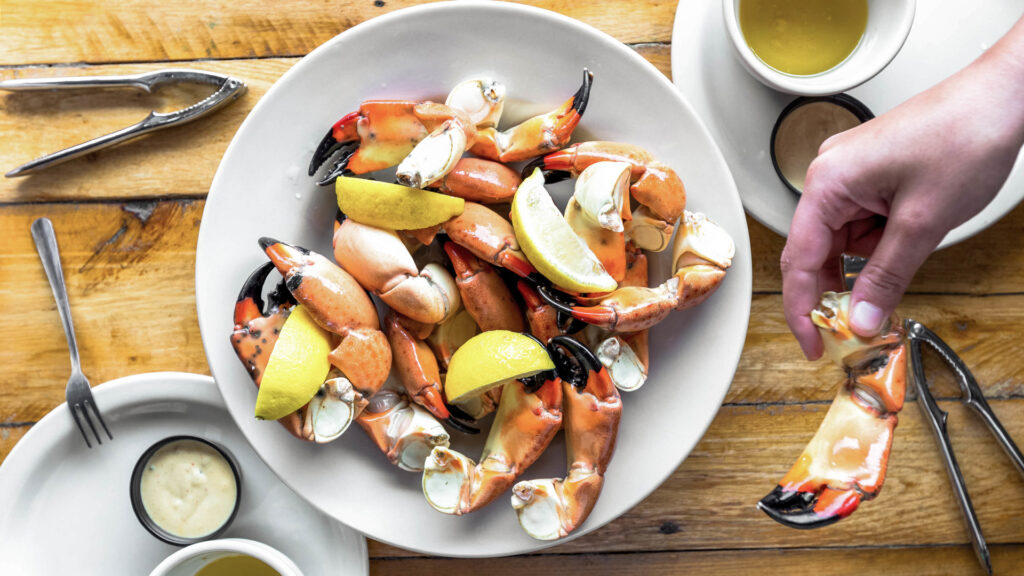 An individual cracks into a stone crab claw in a Florida restaurant, searching for the succulent and sweet meat.