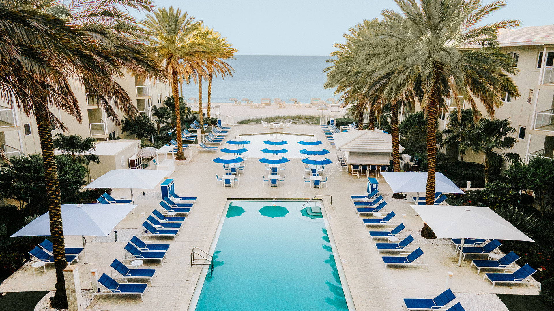 A view of a resort pool area lined with blue lounge chairs and umbrellas, surrounded by tall palm trees, leading to a sandy beach and calm ocean in the background.