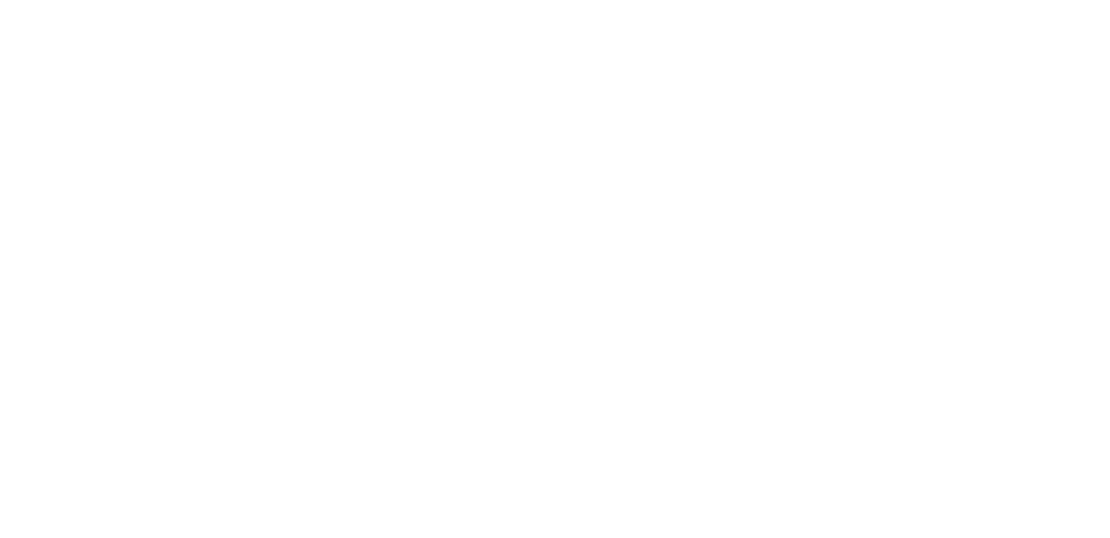 Lake Placid logo in white - Click on this to go back to the homepage.