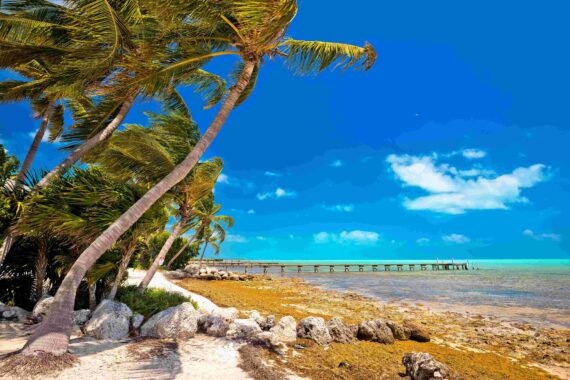A view of one of Islamorada's State Parks.