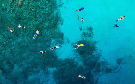 A group snorkels among coral.