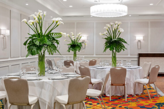 rounds set up indoors