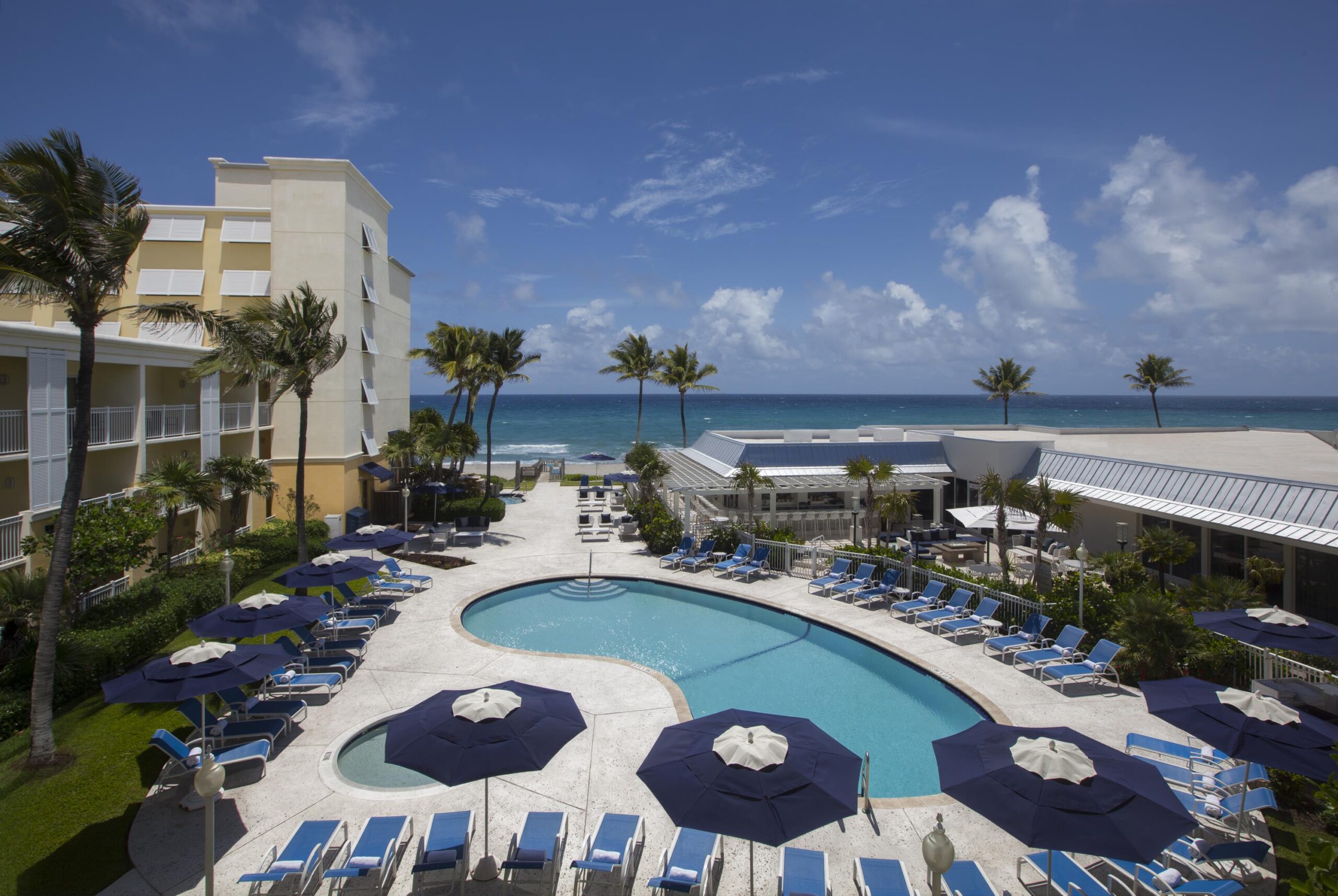 A tropical hotel pool area with blue lounge chairs and umbrellas surrounds a kidney-shaped pool. Palm trees are scattered around, and the ocean with a clear blue sky is visible in the background.